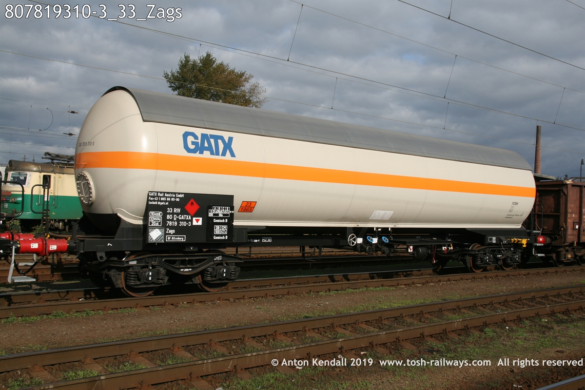 807819310-3_33_Zags.JPG